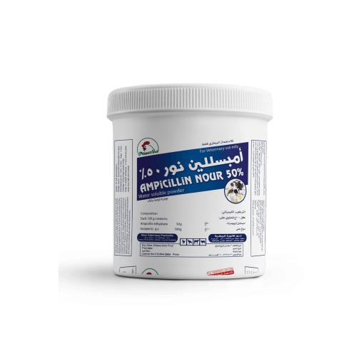 AMPICILLIN NOUR 50% - Image 2