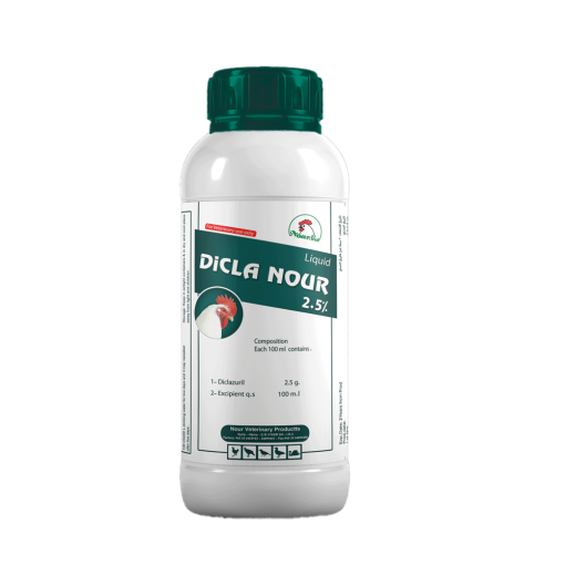 DICLA NOUR 2.5%