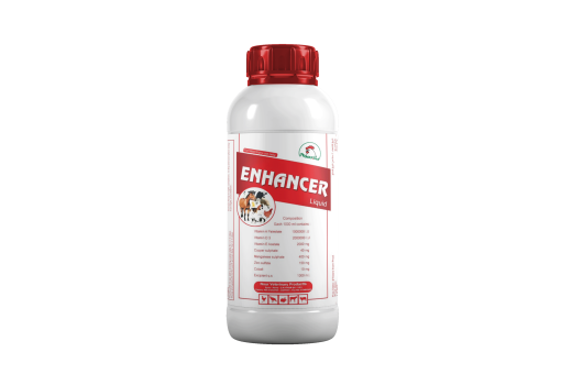 ENHANCER