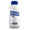 LINCOSTIN