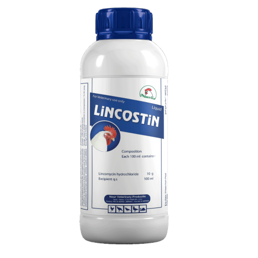 LINCOSTIN